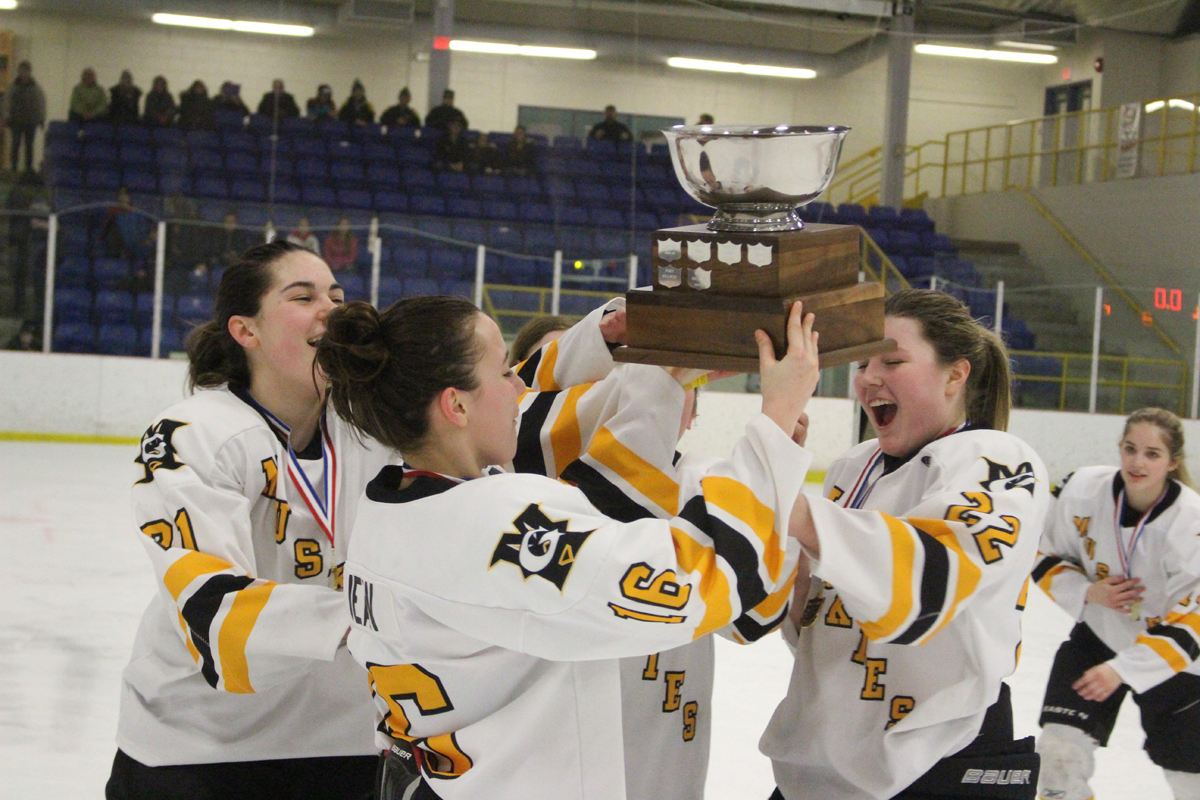 Ice Hockey Ontario Ca dianaalmatest